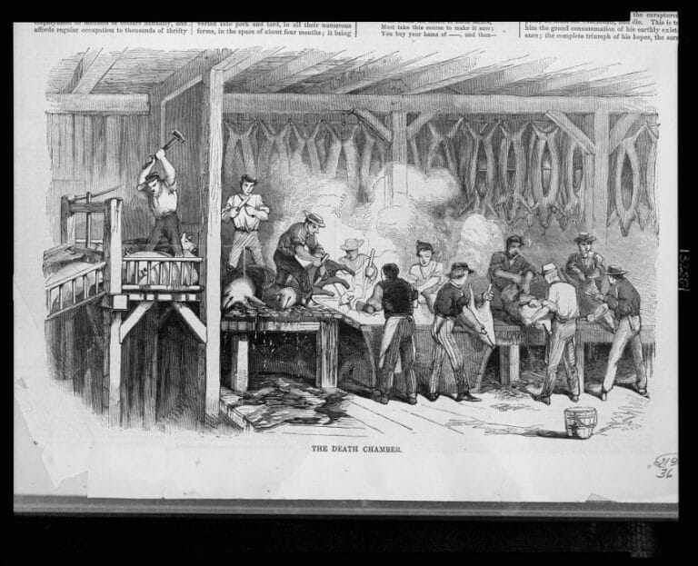 Slaughterhouse Cases (1873) The First Amendment Encyclopedia